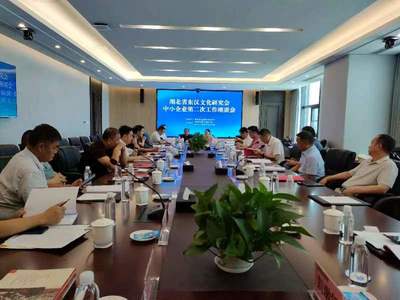 省東漢文化研究會赴宜昌調研 聚焦網絡文化經營，助力民營實體企業發展